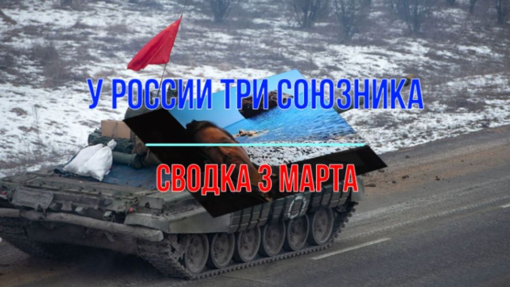  : ... ,                        