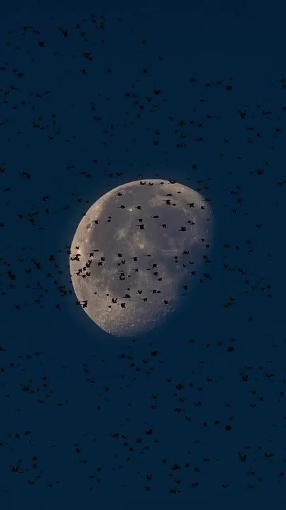 Спасибо Вам за поддержку, реакции и обратную