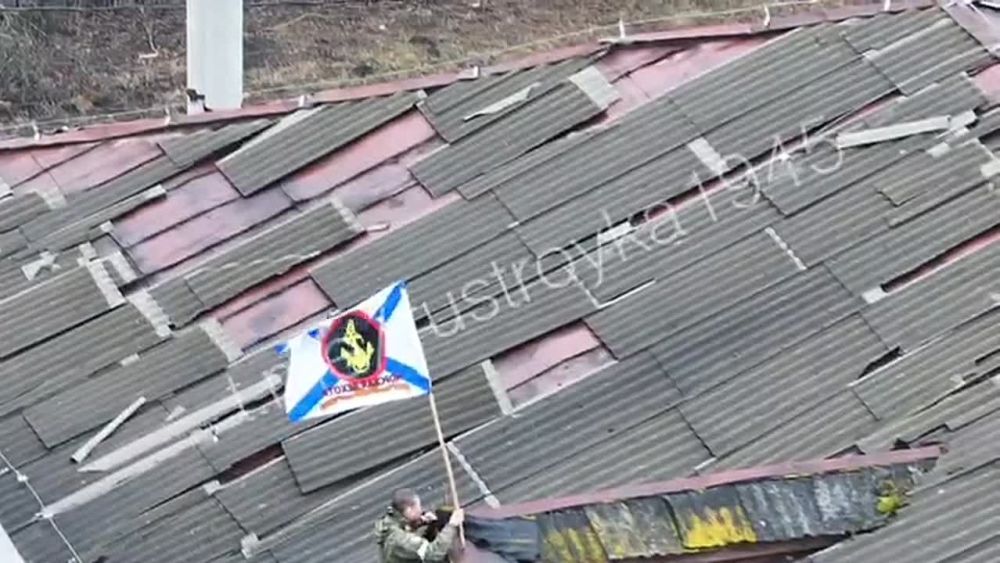 На Курском направлении освобождены населённые пункты Казачья Локня, 1-й Княжий, 2-й Княжий, Замостье и Мирный