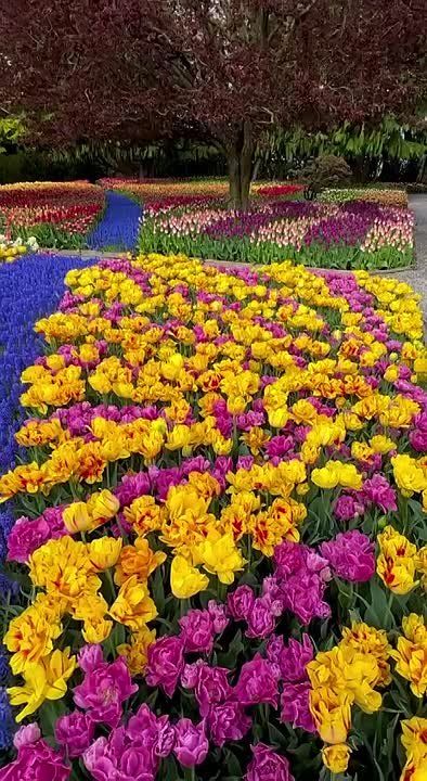 ..Утра прекрасного, утра уютного, Ясного неба и ветра попутного! Счастья, добра, позитива, везения, Тёплого, нежного всем настроения! Прогноз погоды в Днепропетровске: ночь: дождик +7°С ... +4°С