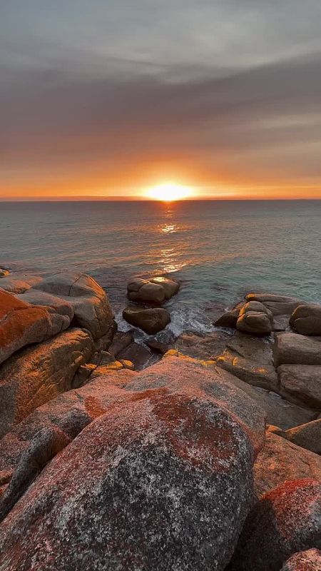 Спасибо Вам за поддержку, реакции и обратную