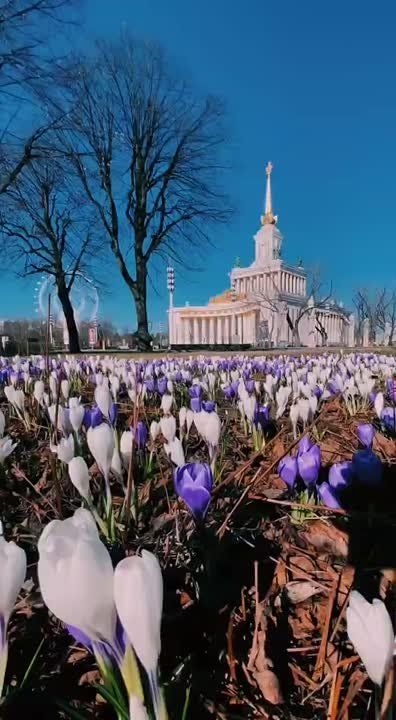 ..Дней дано не так уж много, Ты когда-нибудь поймешь, Что у жизни нет пролога - Лучший день, когда живешь: Не в режиме ожиданья, Не заглядывая в даль, Не храня воспоминанья - Дней прошедших календарь, А когда сквозь...