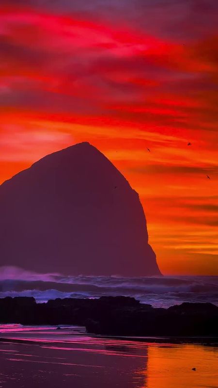 Спасибо Вам за поддержку, реакции и обратную