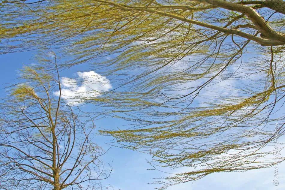 На Украине объявлено штормовое предупреждение