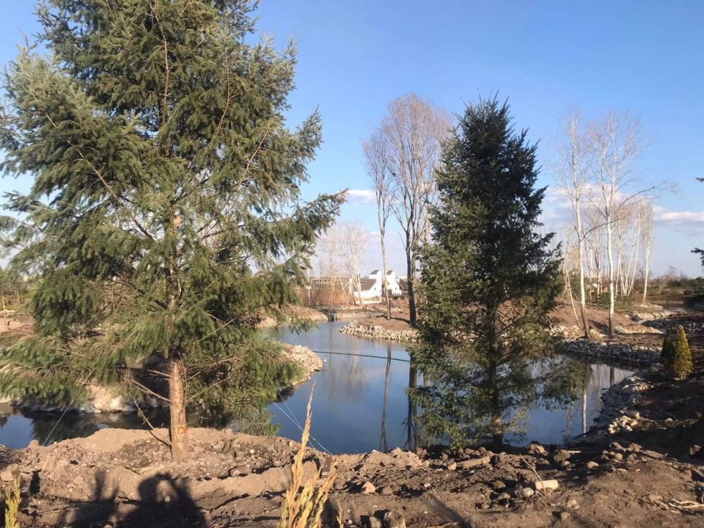 В яхт-клубе на Набережной высадили хвойные деревья В яхт-клубе на Набережной высадили хвойные деревья