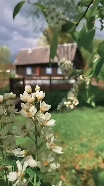 .. .        