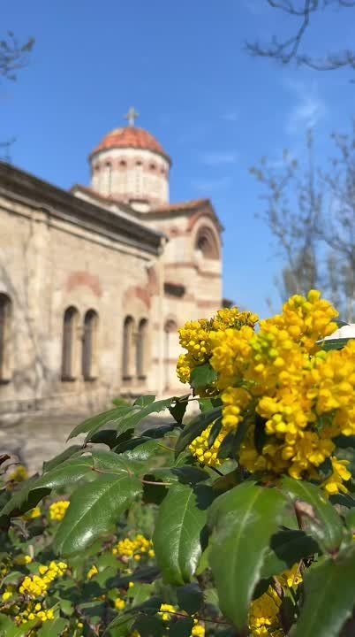 ..Я Бога каждый день молю - Чтоб берёг людей, кого люблю