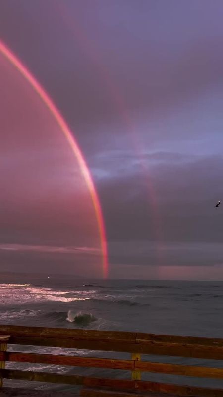 Спасибо Вам за поддержку, реакции и обратную