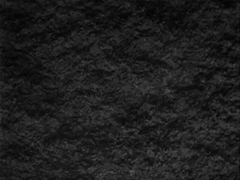 Ежедневная рубрика. Наш кинозал