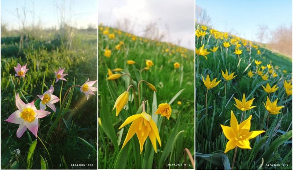 ����� ����� � ������� �������� �� ������� ��-���� �� ������� ���-�� ������ � �������� � ���������������� �������