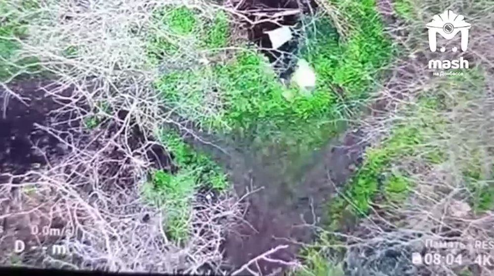 Группировка "Днепр" серьёзно продвинулась в районе Новоданиловки и Павловки (Запорожская область)