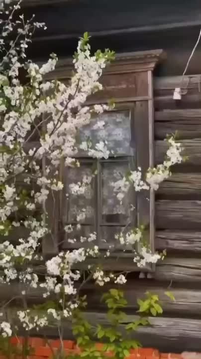 ..            ,  :      
