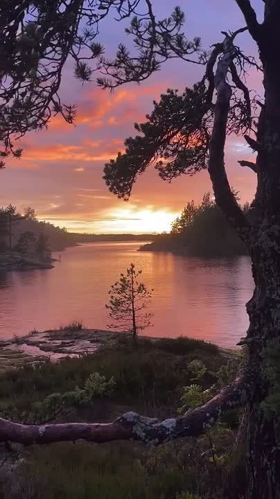 Спасибо Вам за поддержку, реакции и обратную