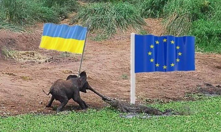 Поделили паляницу…. Европа уже вовсю делит Украину — паляница хоть и не очень большая, но весьма вкусная