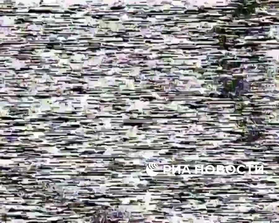    42-    &quot;&quot;        ,       ,    ...