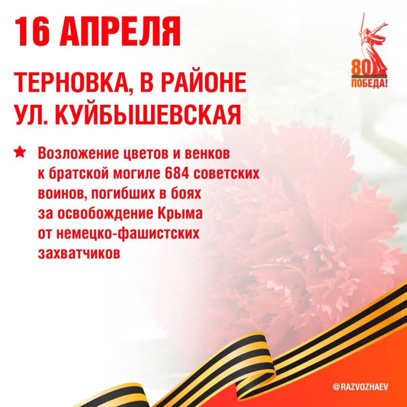  :  81-     -         