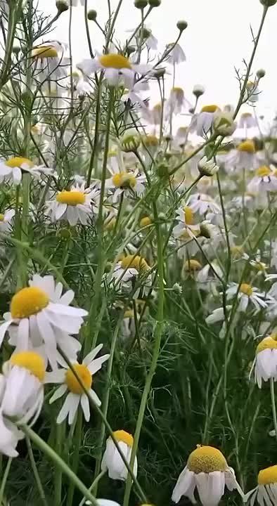 ..  ,               ,         .   