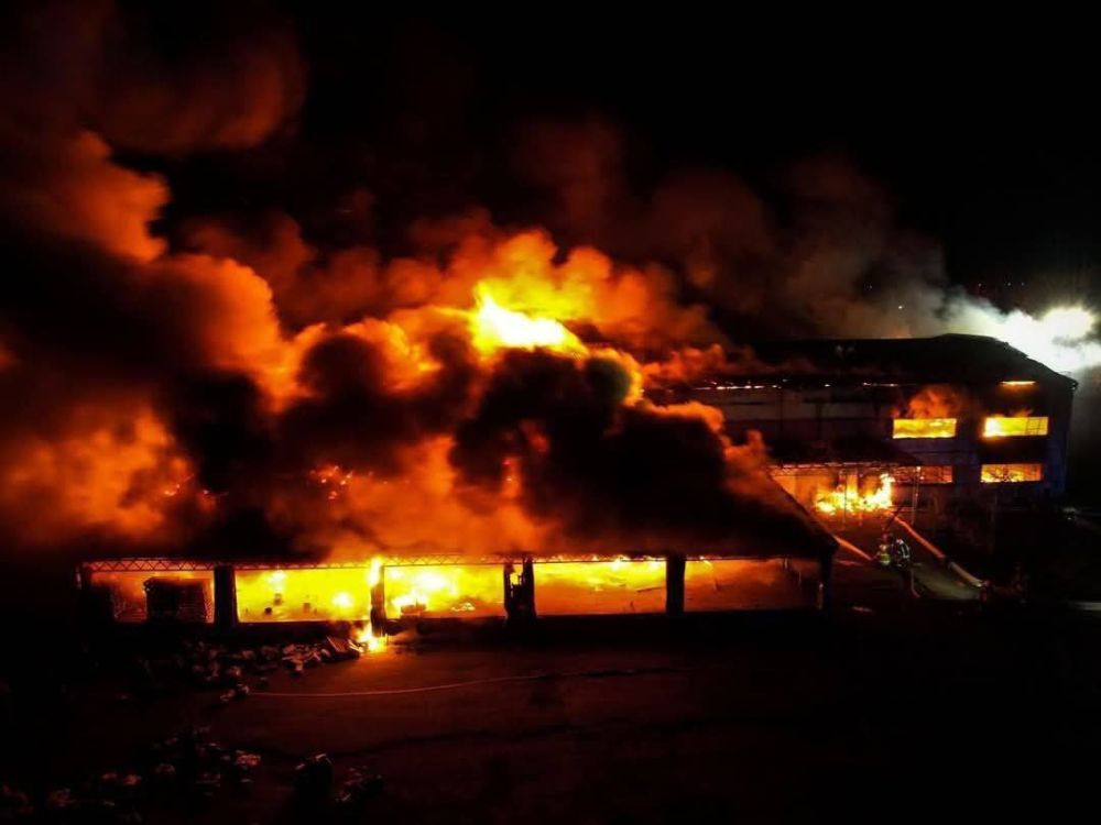 Результаты вчерашних переговоров в Париже — съедено колоссальное количество лягушек и круассанов