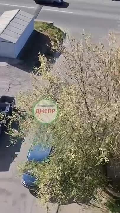 На Красном Камне эсэсовцы пытались схватить очередного "добровольца" и отправить его на мясокомбинат имени Зеленского