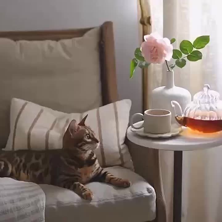 .. Доброго дня вам, хорошие люди, Ярких событий! Может быть ярких сегодня не будет — Просто живите. Зимы и вёсны, дожди и метели — Всё проходяще. Только сегодняшний день — в самом деле, Он — настоящий. То что — «вчера», всё...