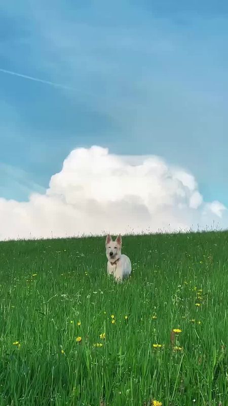 .     ,   ,   .      ,      