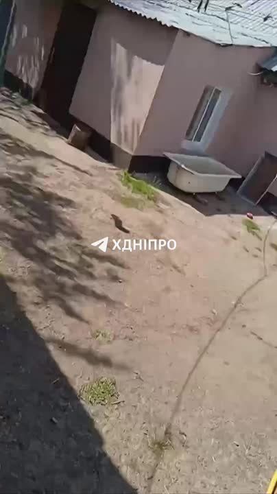 Как сообщают местные паблики, якобы над Днепропетровском летает разведывательный БПЛА