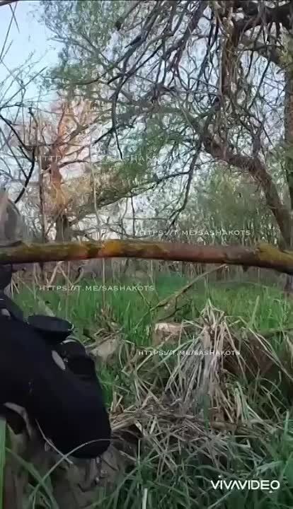  : .   . 