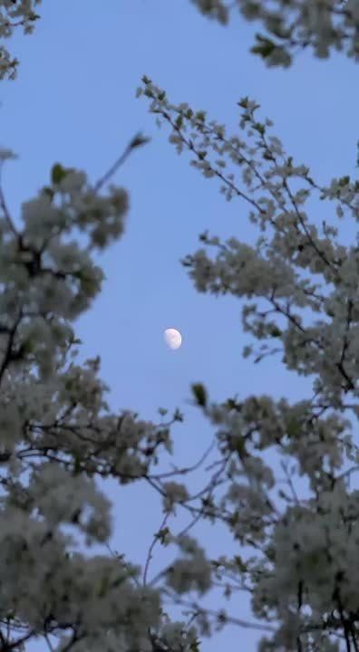 Спасибо Вам за поддержку, реакции и обратную