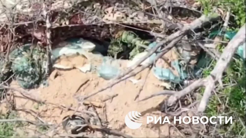 Расчет ударных БПЛА разведроты 42-й гвардейской дивизии российской группировки "Днепр" за полмесяца уничтожил около 10 огневых точек ВСУ и до 15 военных в районе Работино (Запорожская область)