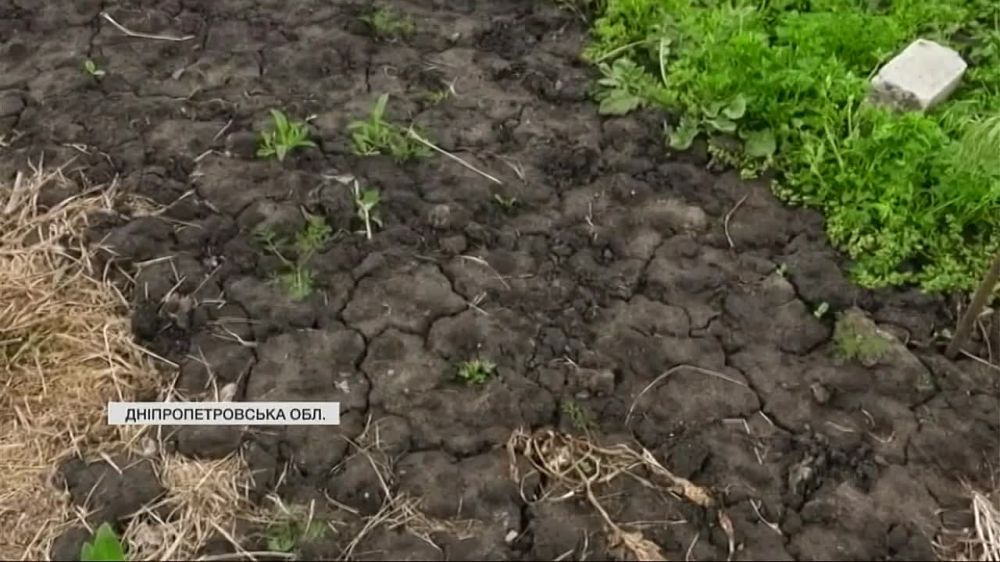 В селе Вольное Днепропетровской области тариф на воду вырос до 78 грн/м