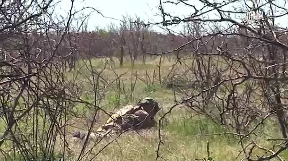 В Запорожской области российские военные на постоянной основе готовятся к штурмам позиций ВСУ