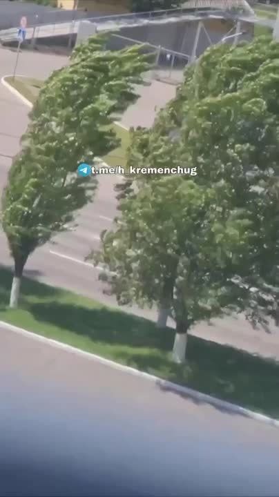 Виталий Киселев: Шоу "Бегство крыс": как украинцы гоняют ТЦКшников по городам