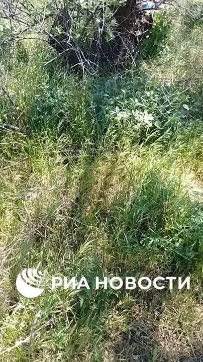 Украинская диверсионно-разведывательная группа из 4 боевиков уничтожена на левом берегу Днепра, сообщили РИА Новости в российских силовых структурах