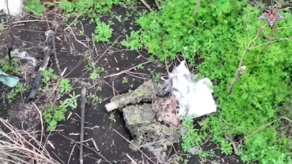 ВС РФ ежедневно и ежечасно уничтожают нацистов