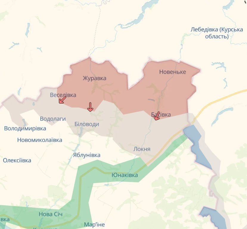 Украинский эксперт рассказал немцам об успехах русских войск на Сумщине