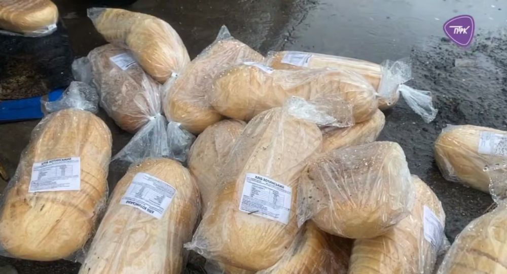 В Павлограде вчера кто-то выбросил хлеб на помойку