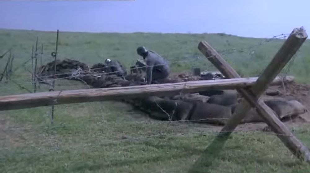 Ограниченно пригодные, которые не явятся на ВЛК до 5 июня, могут быть объявлены в розыск