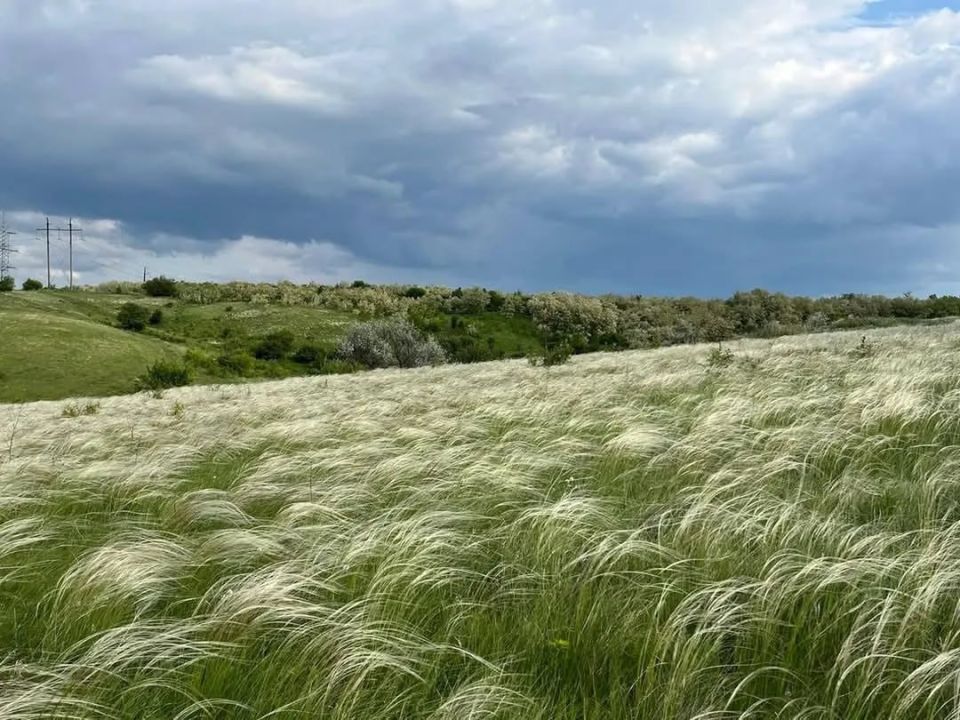 �������: ������� � ������