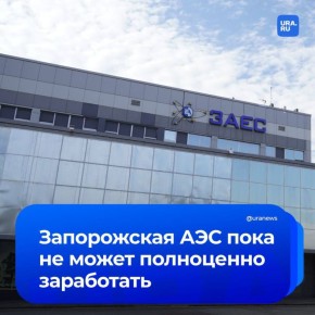      ,       Reuters