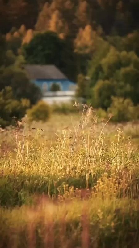 .Счастье приходит к тому, кто чувствует благодарность