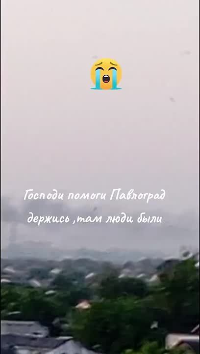  :       -   .            ...