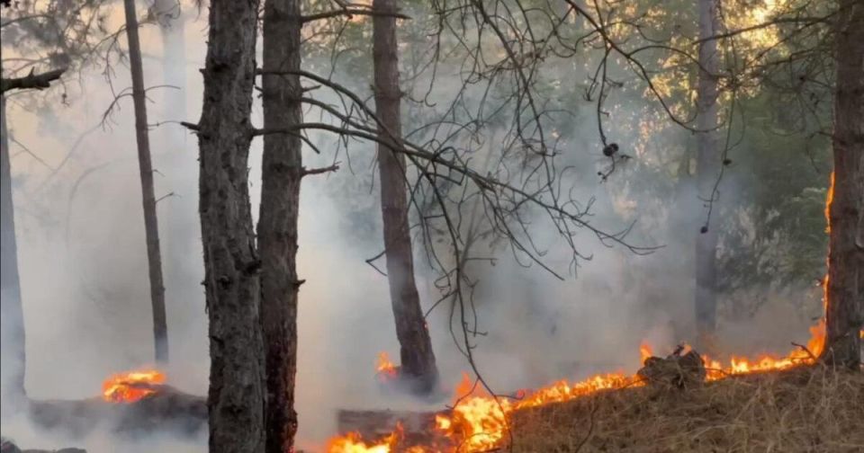Два майора: Херсонская область, губернатор: Два майора: Херсонская область, губернатор:
