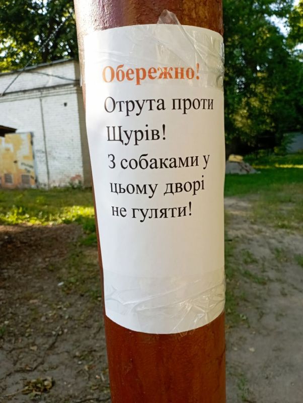 #�������� ����������� �-�, ������ �����������