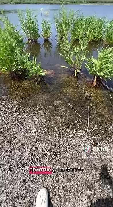 Житель Никополя показал, как сейчас выглядит Каховское водохранилище, которое обмелело два года назад