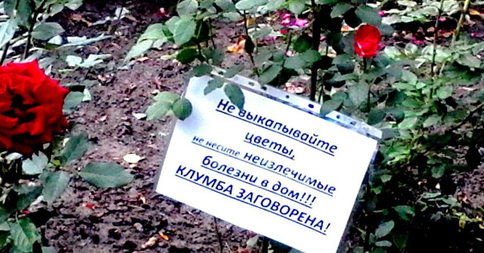 � ������ ���� ������� ������ ������� �����, �� ��, ��� ��� ������� ���� ������� � ������