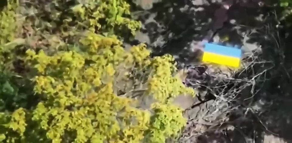 Роман Насонов: В сети появились первые кадры пересечения границы Днепропетровской области ВС РФ