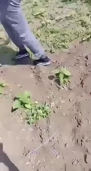 , .     