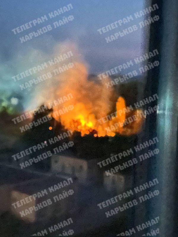 ��� ����� ������ ������ �� �� �� �������� ����� �� �������