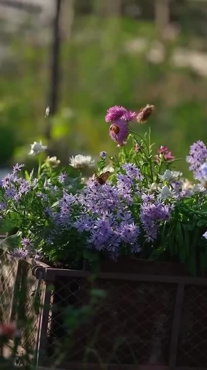 .Если голубые небеса наполняют вас радостью, если стебель полевой травы не оставляет вас равнодушным, если простые картины природы говорят с вами на понятном языке, радуйтесь! Это значит, что ваша душа жива