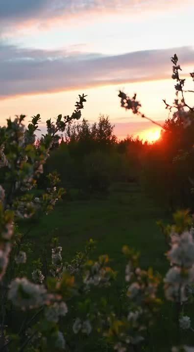 ...В жизни обязательно должны быть паузы